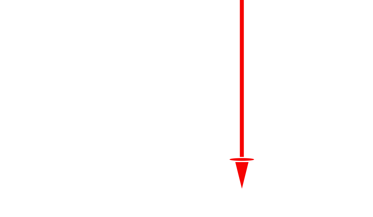 Logo firmy
