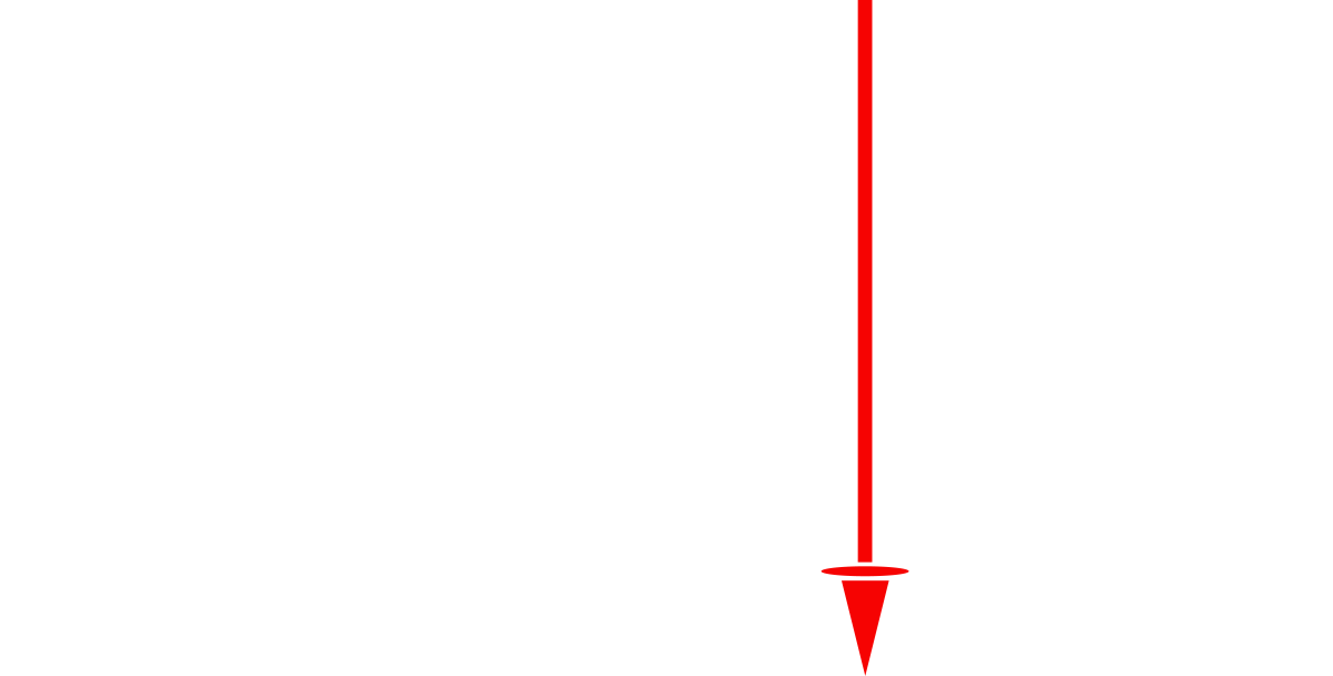 Logo firmy